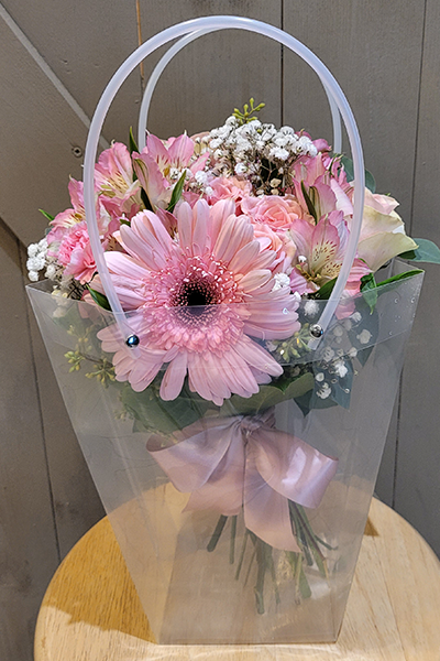 pretty in pink handheld in bag.png