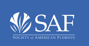 SAF logo.png