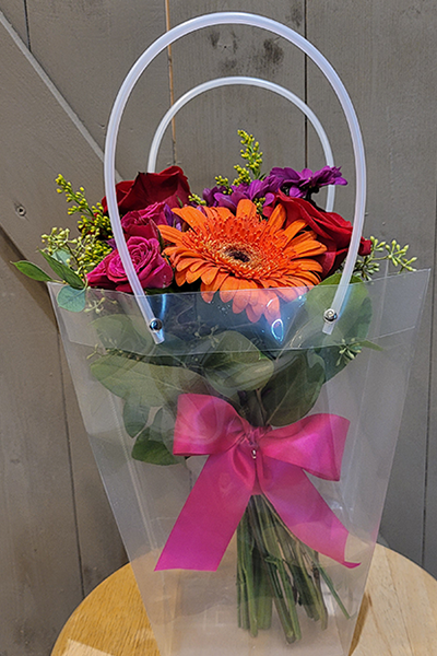 bold and bright handheld in bag.png