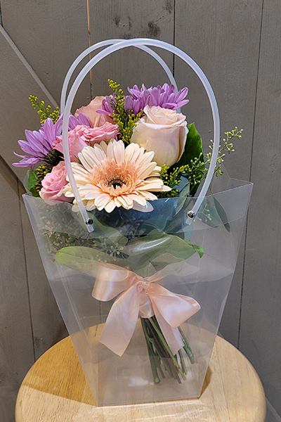 pastel handheld in bag.png