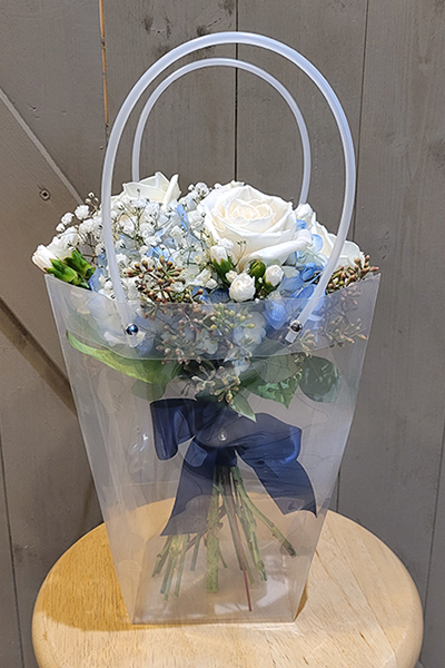 blue and white handheld in bag.png