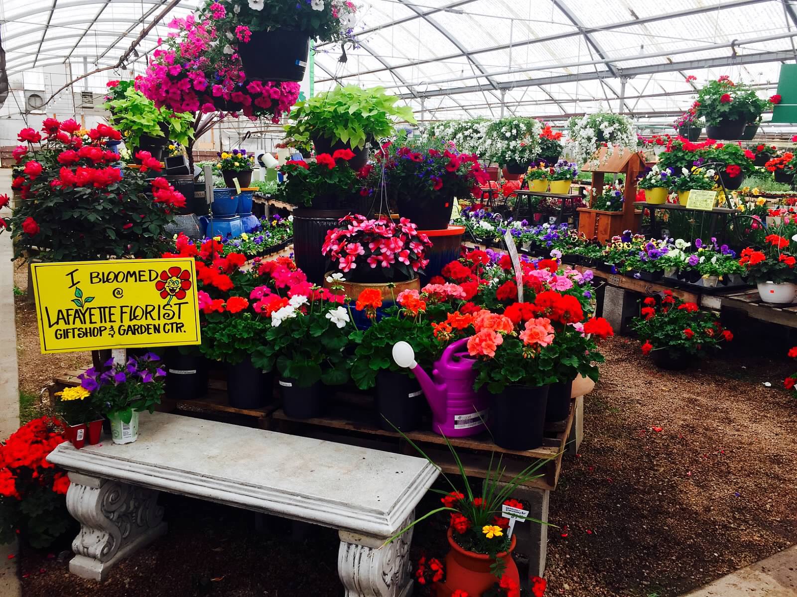Garden Center Lafayette Florist