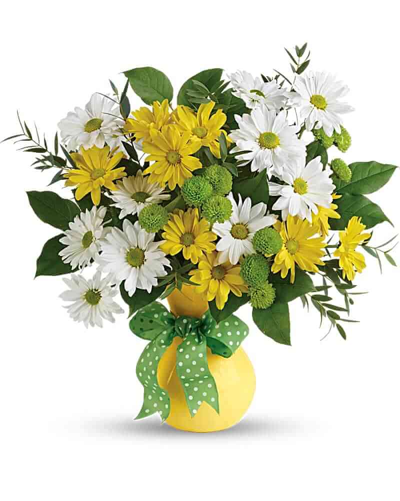 Daisies And Dots Bouquet Lafayette Florist