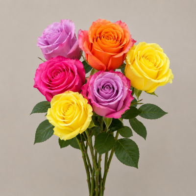 Rose Special: 6 Colorful Summer Roses