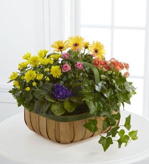 The Gentle Blossoms Basket