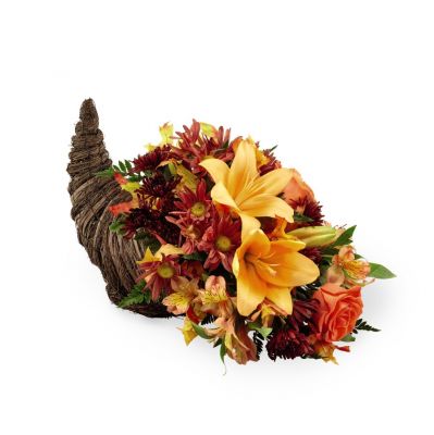 Harvest Comfort Cornucopia