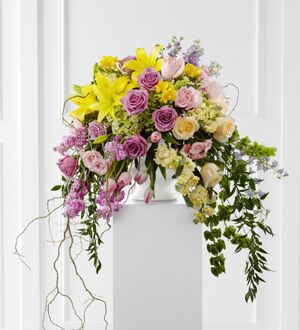 The Display of Affection Arrangement