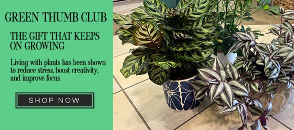 Green Thumb Club shop now.png