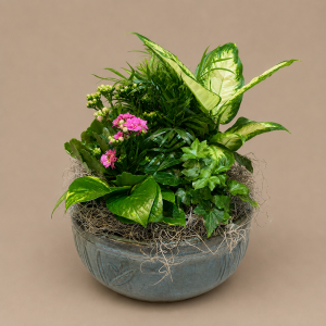 10 Inch Ceramic European Garden