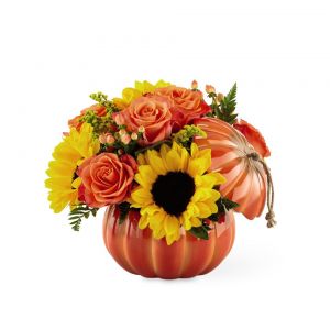 Harvest Traditions Pumpkin