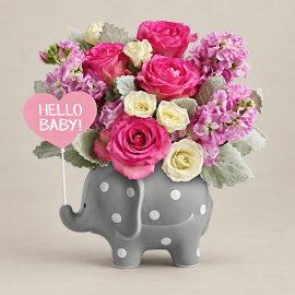Hello Sweet Baby - Pink