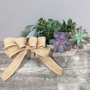 Rustic Succulent Garden