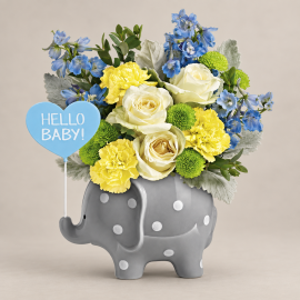 Hello Sweet Baby - Blue