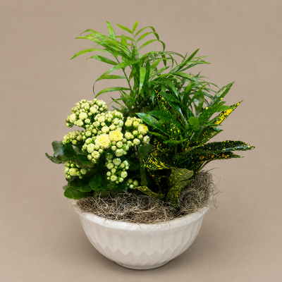 8 Inch Ceramic European Garden