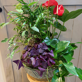 14 Inch Ceramic European Garden