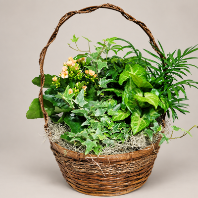 10 Inch European Garden Basket