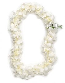 Graduation Lei