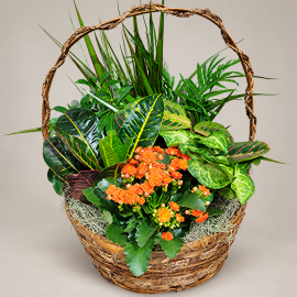 12 Inch European Garden Basket