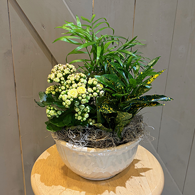 8 Inch Ceramic European Garden