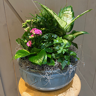 10 Inch Ceramic European Garden