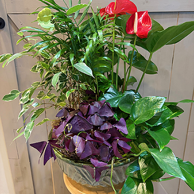 14 Inch Ceramic European Garden