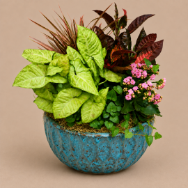 14 Inch Ceramic European Garden (Available in 4 Sizes)