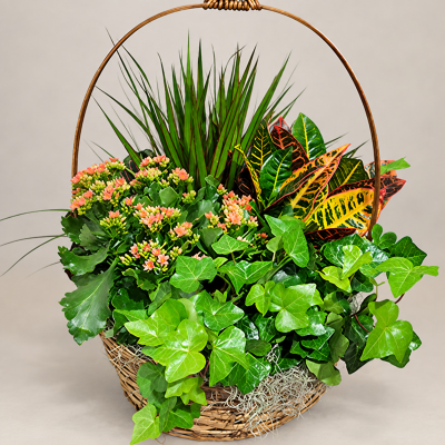 14 Inch European Garden Basket