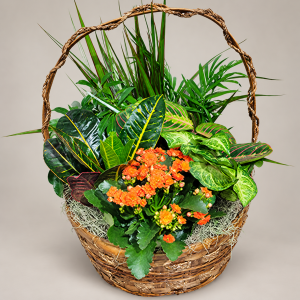 12 Inch European Garden Basket
