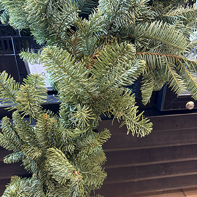 Fresh Winter Garland ($9.99/ft)