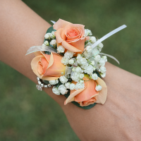 Peach Sydney Corsage
