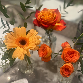Bud Vase Trio Set